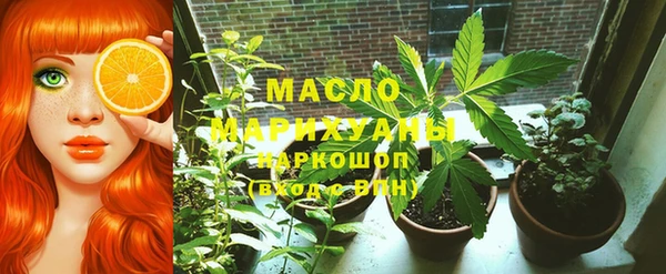 стаф Медногорск