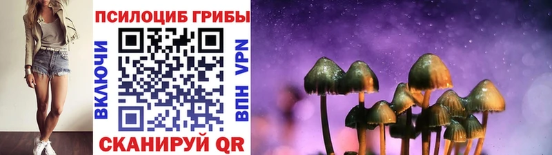Купить где  Урень  Псилоцибиновые грибы Psilocybine cubensis 
